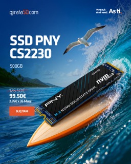 Pny CS2230 500GB